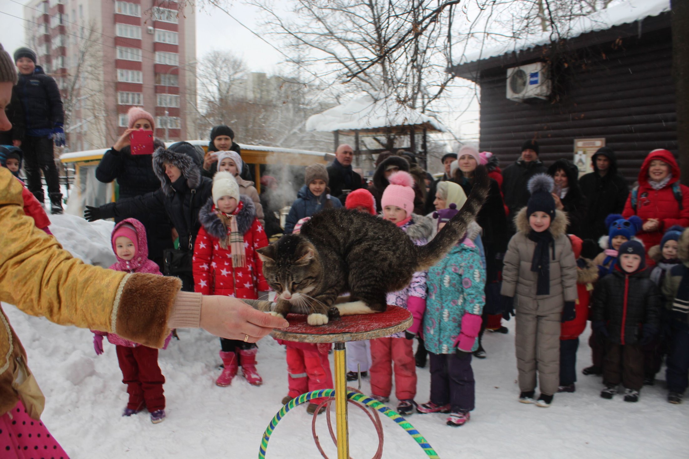 МАСЛЕНИЦА 2018